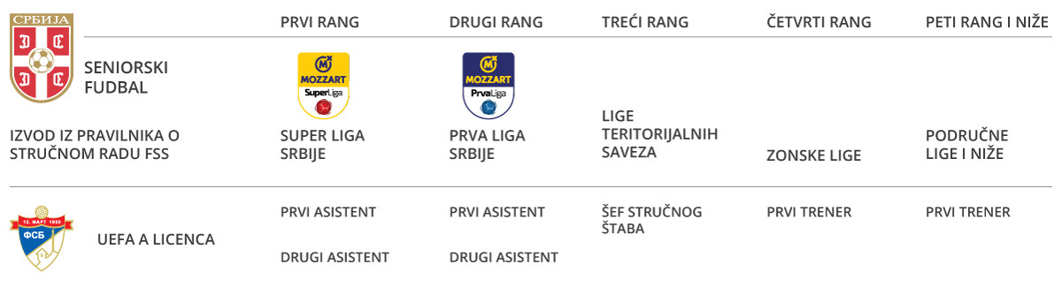 A licenca stručni rad