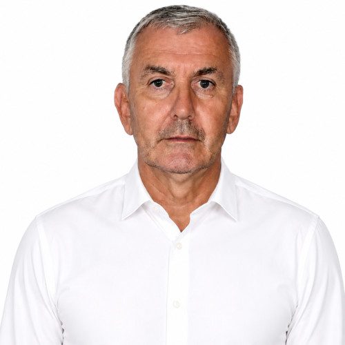 Vitomir  Simović